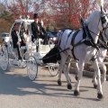 2012 LOPRESTI HD.Still008